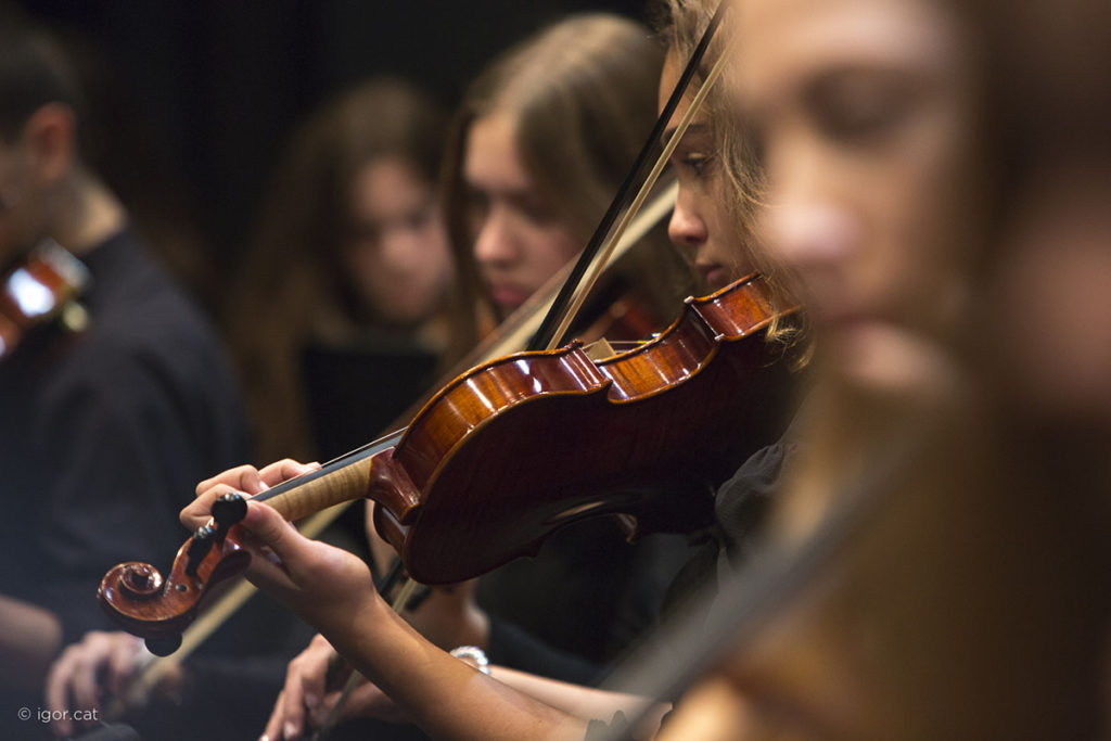 Mòdul formatiu de Pràctica musical en conjunt Mòdul formatiu de Pràctica musical en conjunt