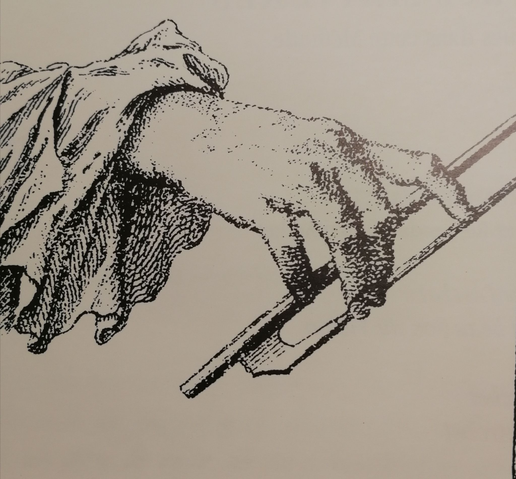 opatativa pedagodia del violí i viola