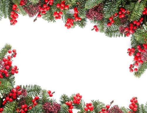 CONCERTS DE NADAL 2025